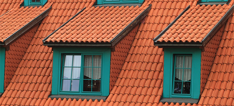 Roof windows