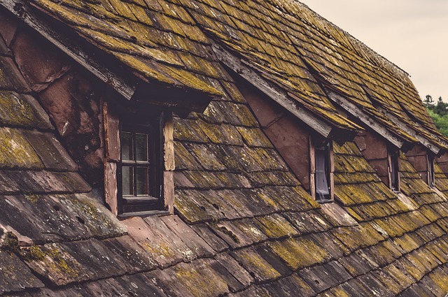 Finding algae isn't always a sign you should replace the roof.