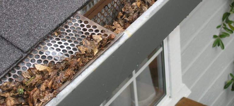 Clogged gutters