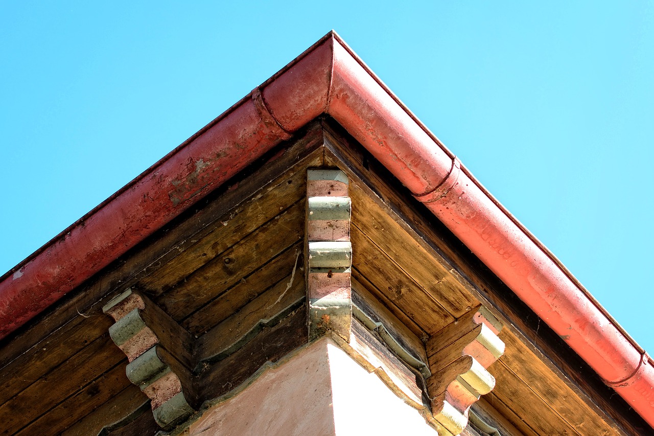 Clogged gutters