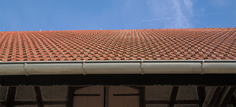 A roof and gutter